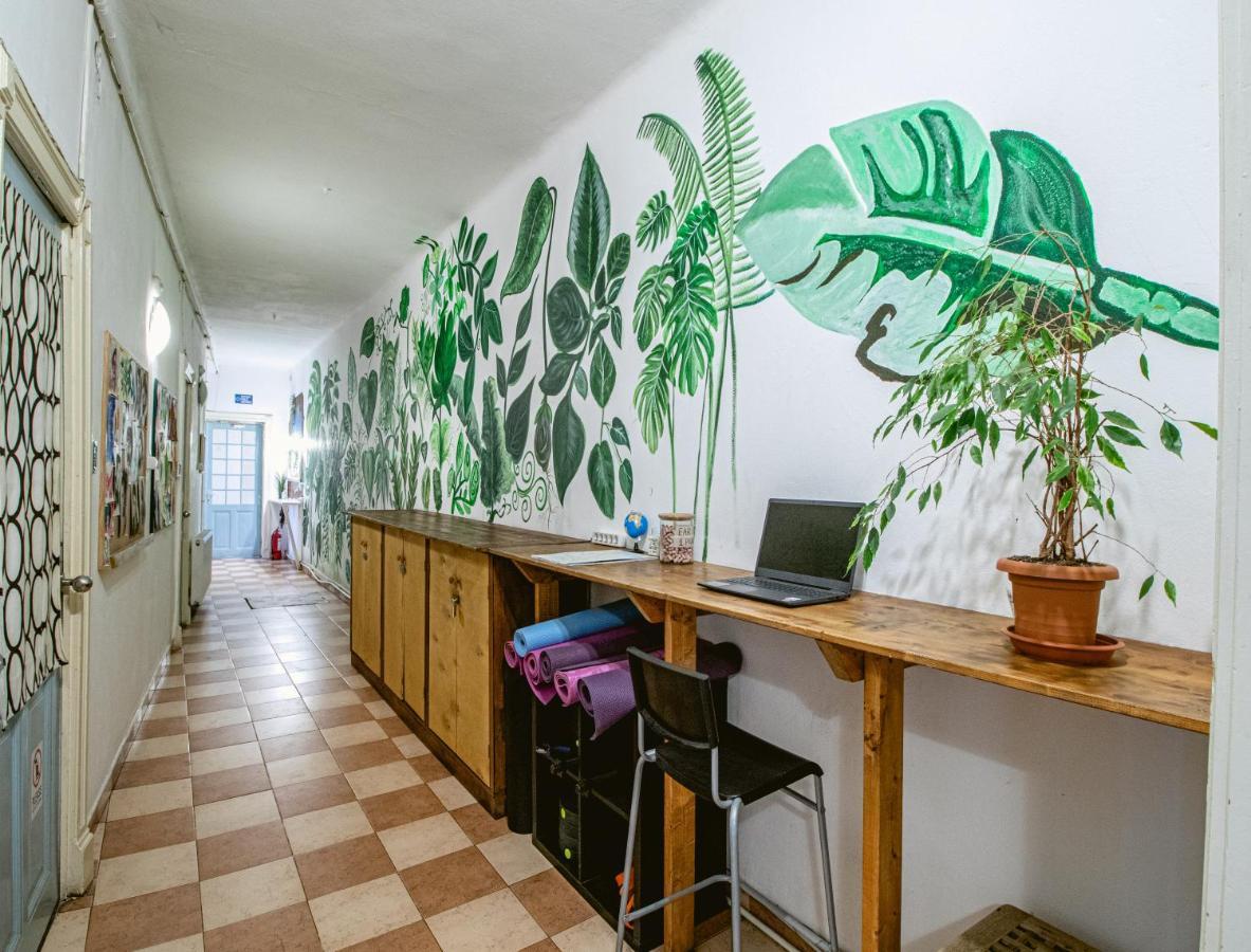 T5 Social Vandrarhem Bukarest Exteriör bild